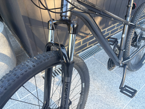 Cannondale Trail 2020