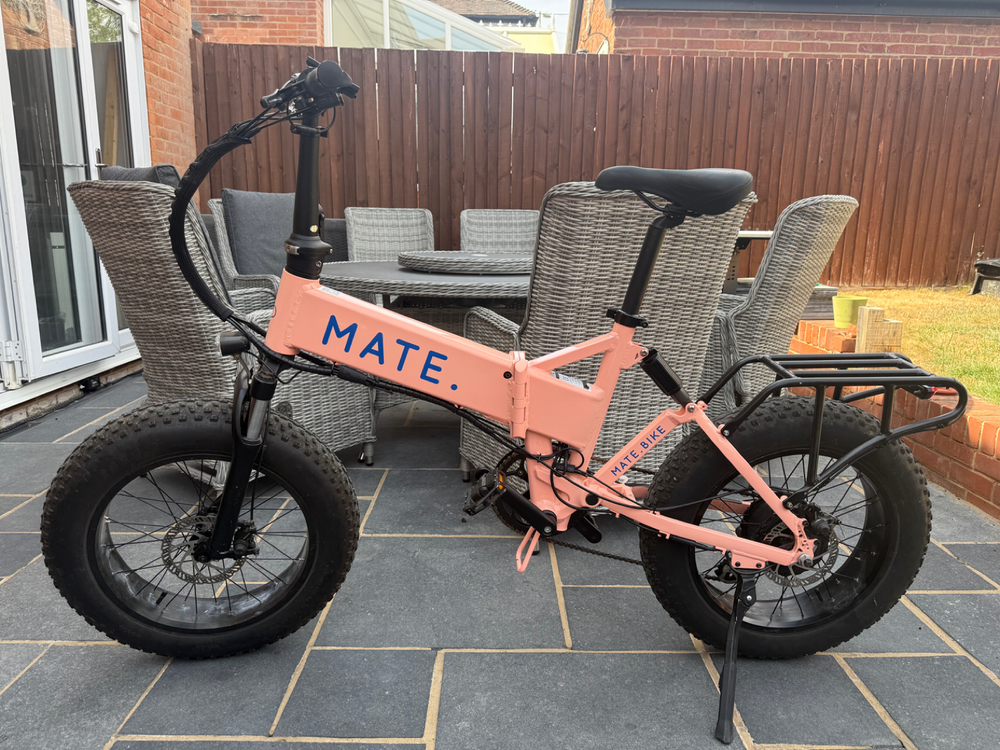 Mate Mate x 250w 2019