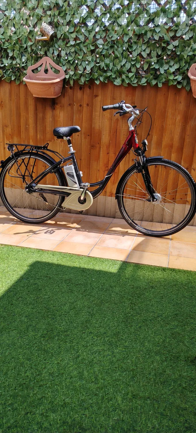 Raleigh Dover deluxe 2015