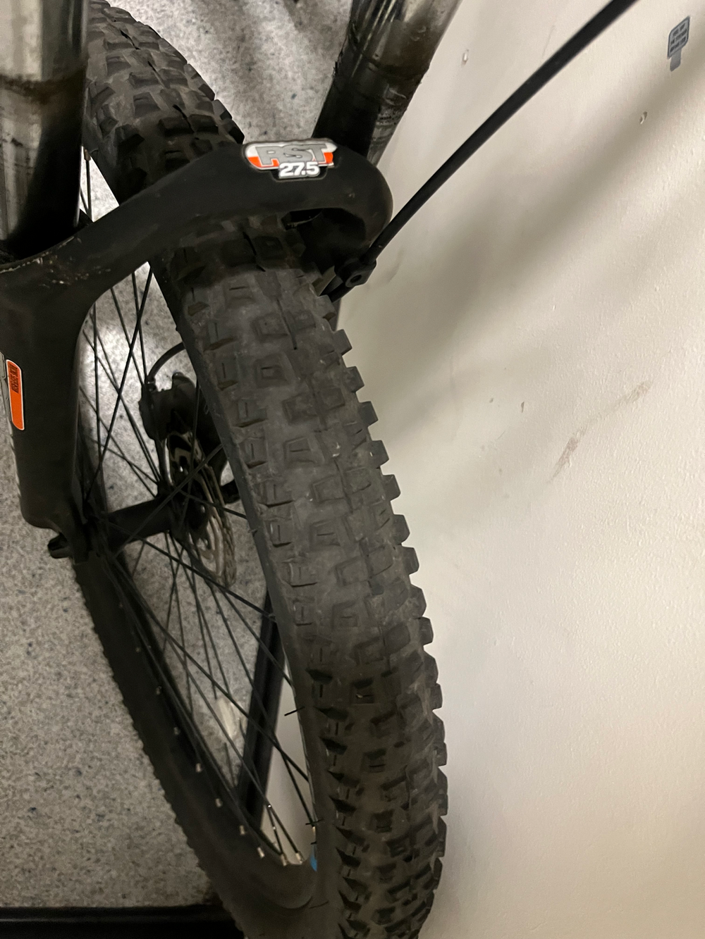 Carrera Sulcata 2.2 2024