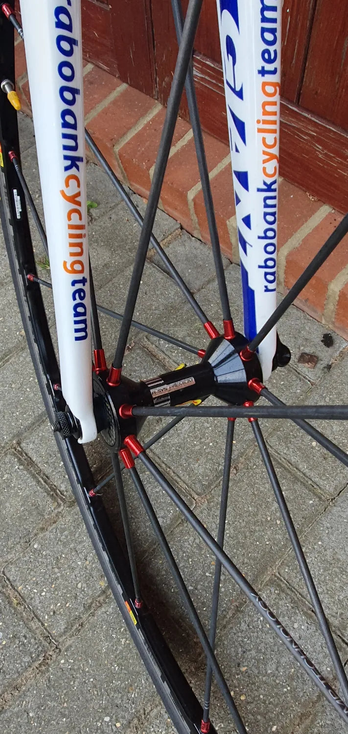 Giant TCR Advanced Sl Rabobank 2011
