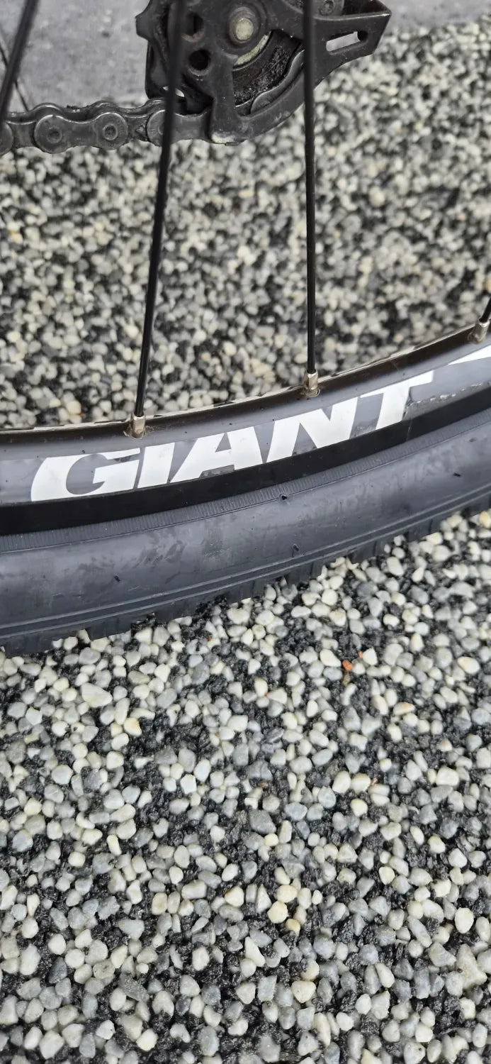 Giant Xtc Advanced 1 2017