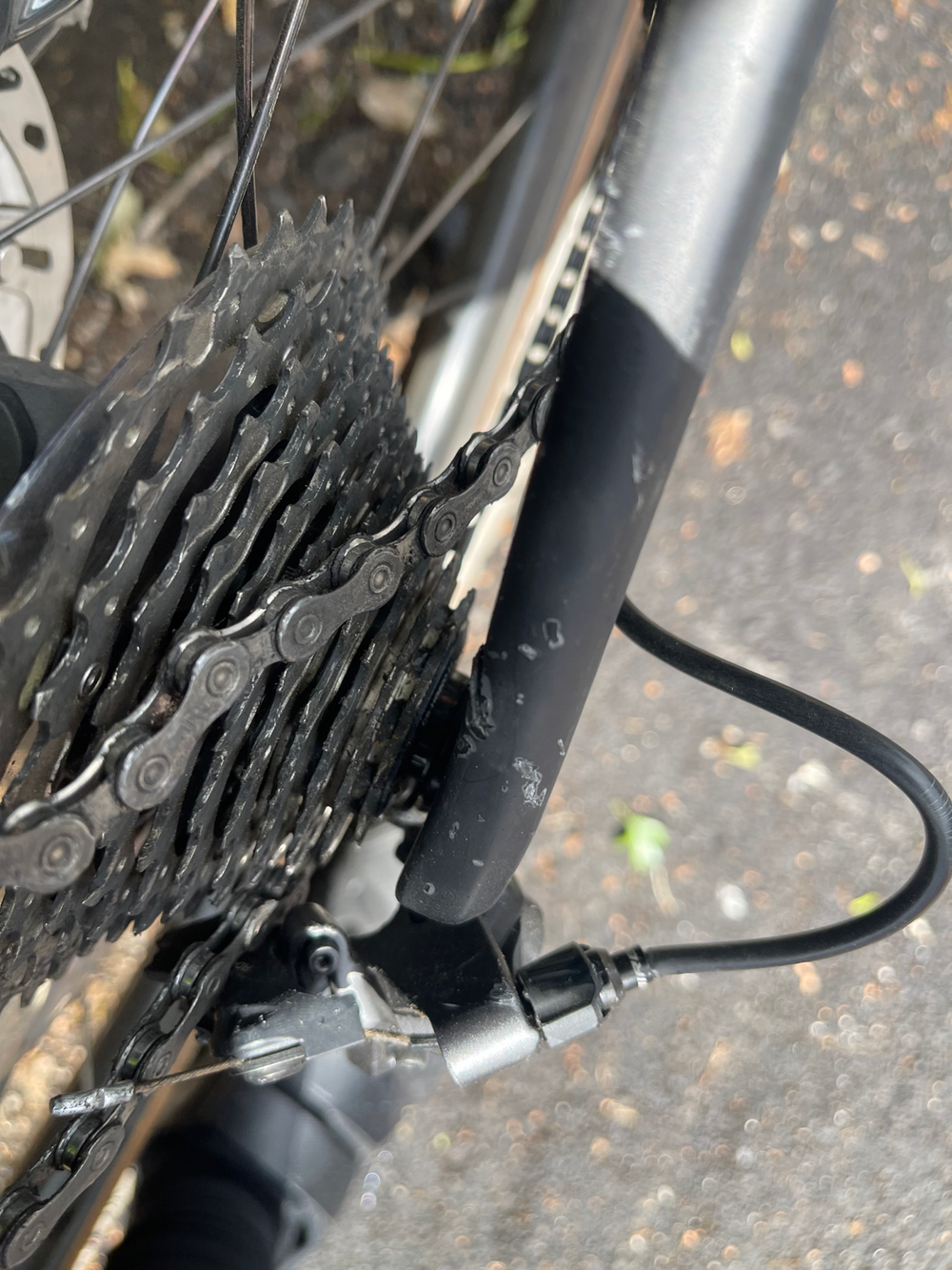 Specialized Diverge Comp Carbon 2021