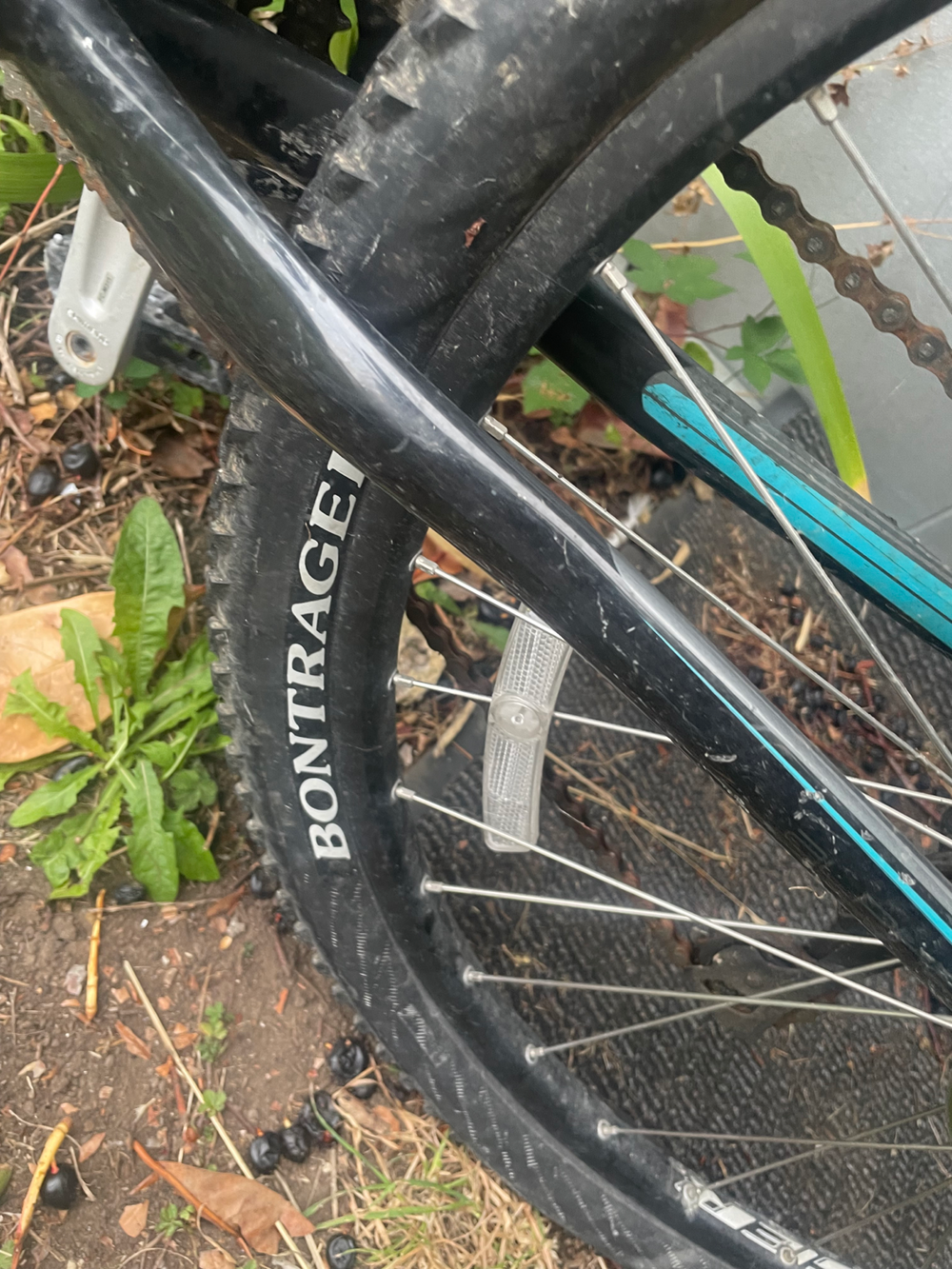 Trek Skye SL 2018