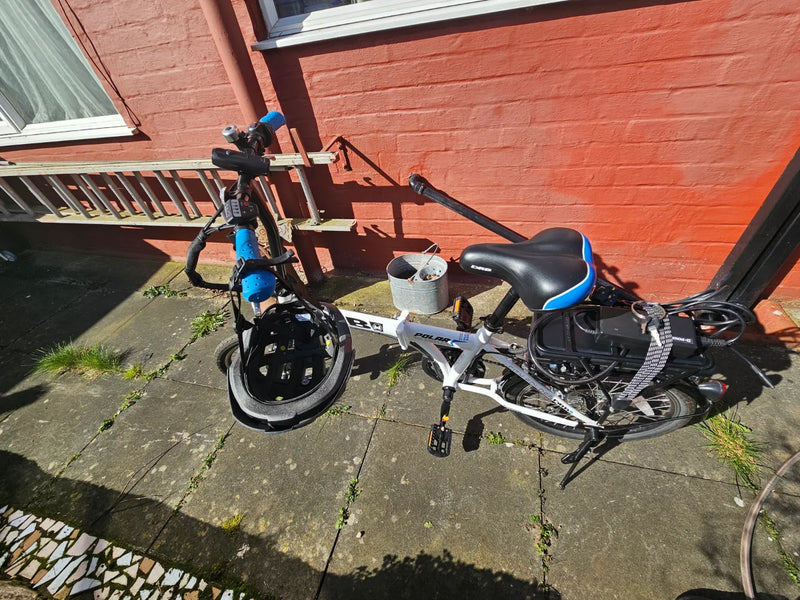 Dallingridge Polar  2022