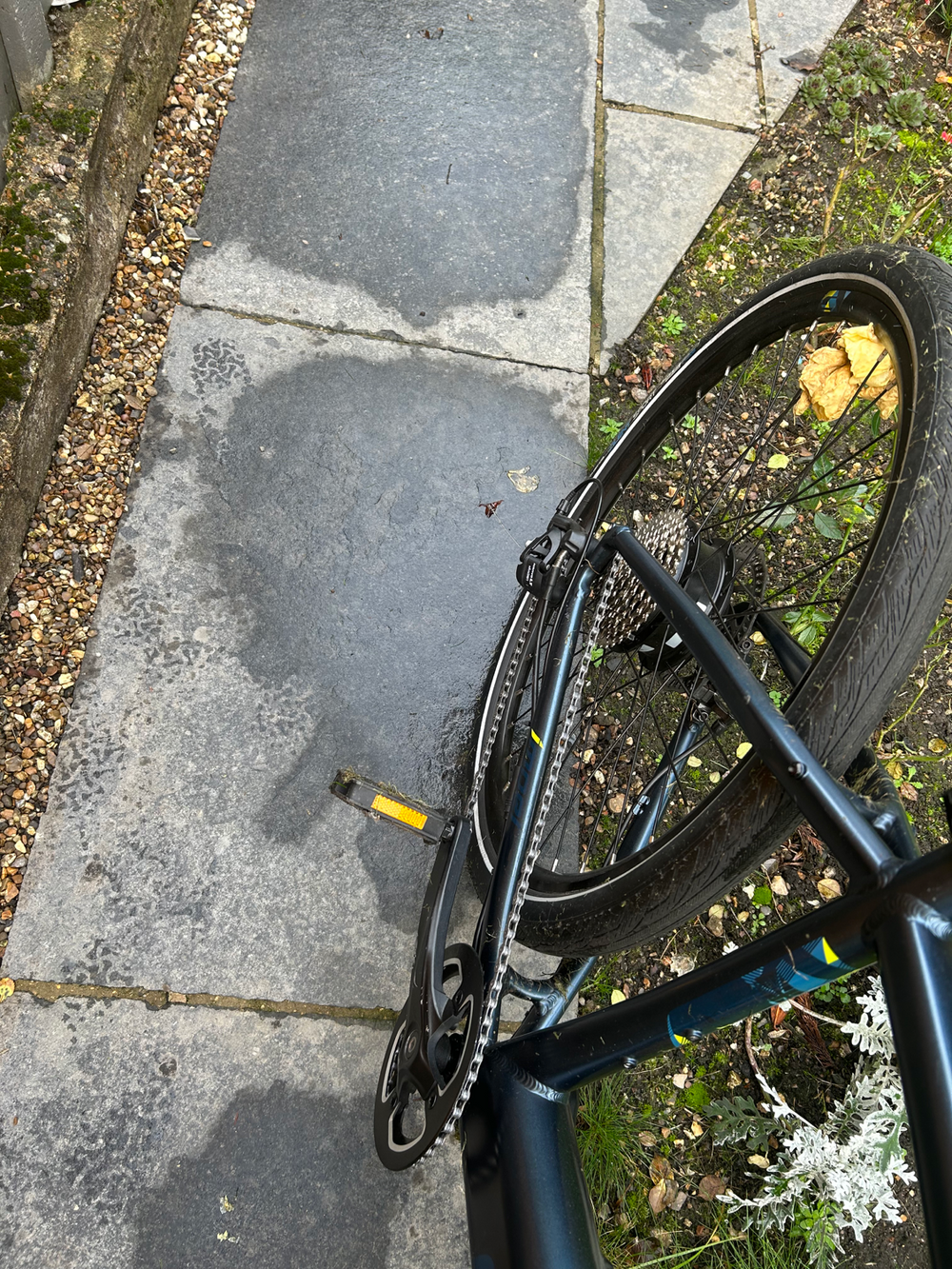 Carrera impel im 2022