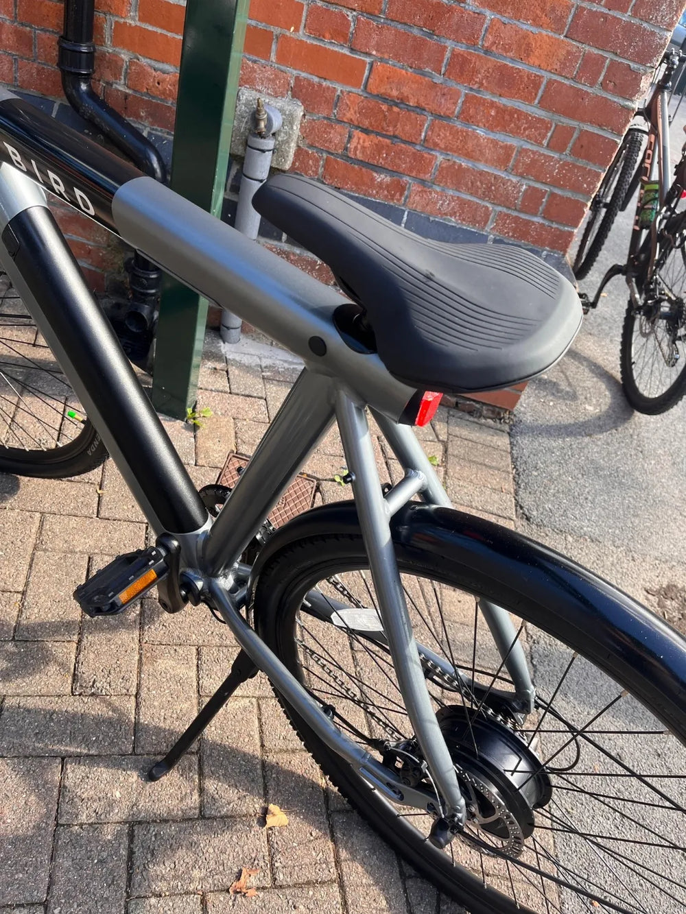 BirdBike A-Frame 2023
