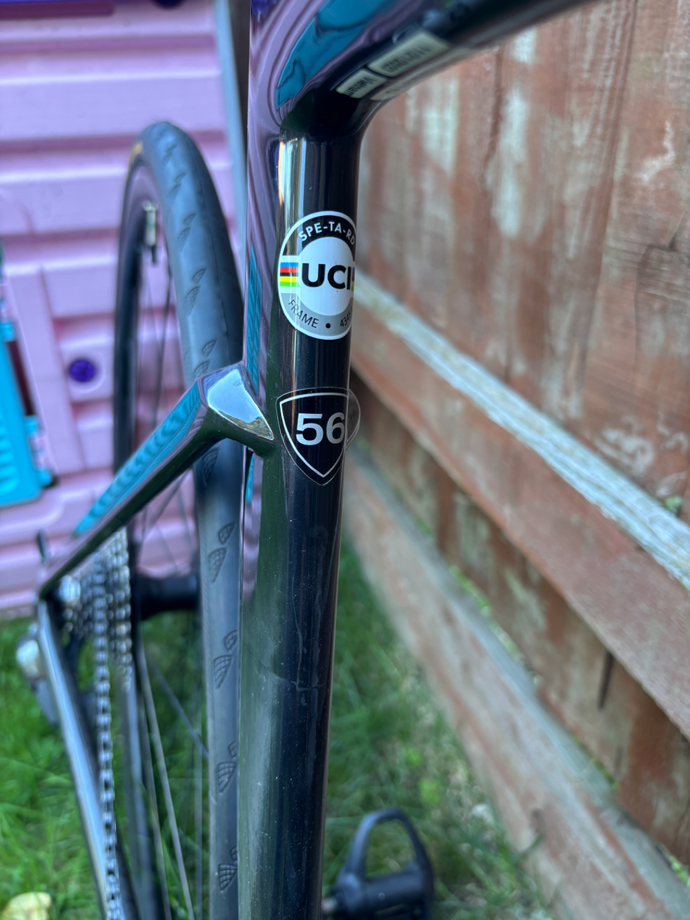 Specialized Tarmac SL7 Expert 2024