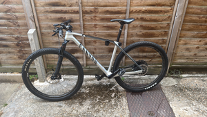 Canyon Exceed CF 7 2022