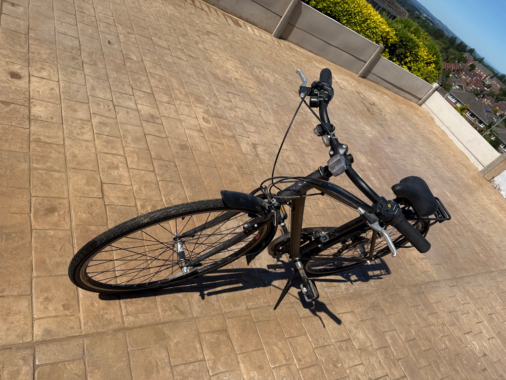 Raleigh Pioneer 2014