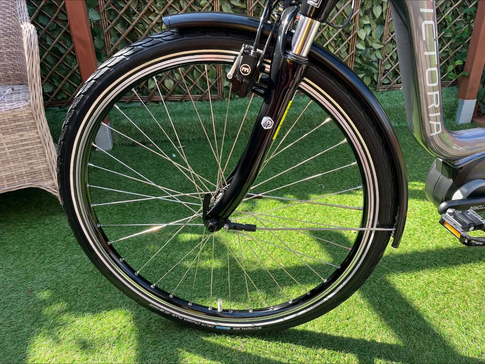 e-bike Victoria E-Trekking 5.5  45/26 2022