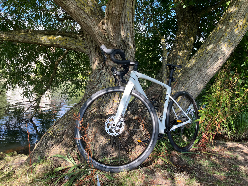 Specialized Roubaix SL8 Sport 105 2024