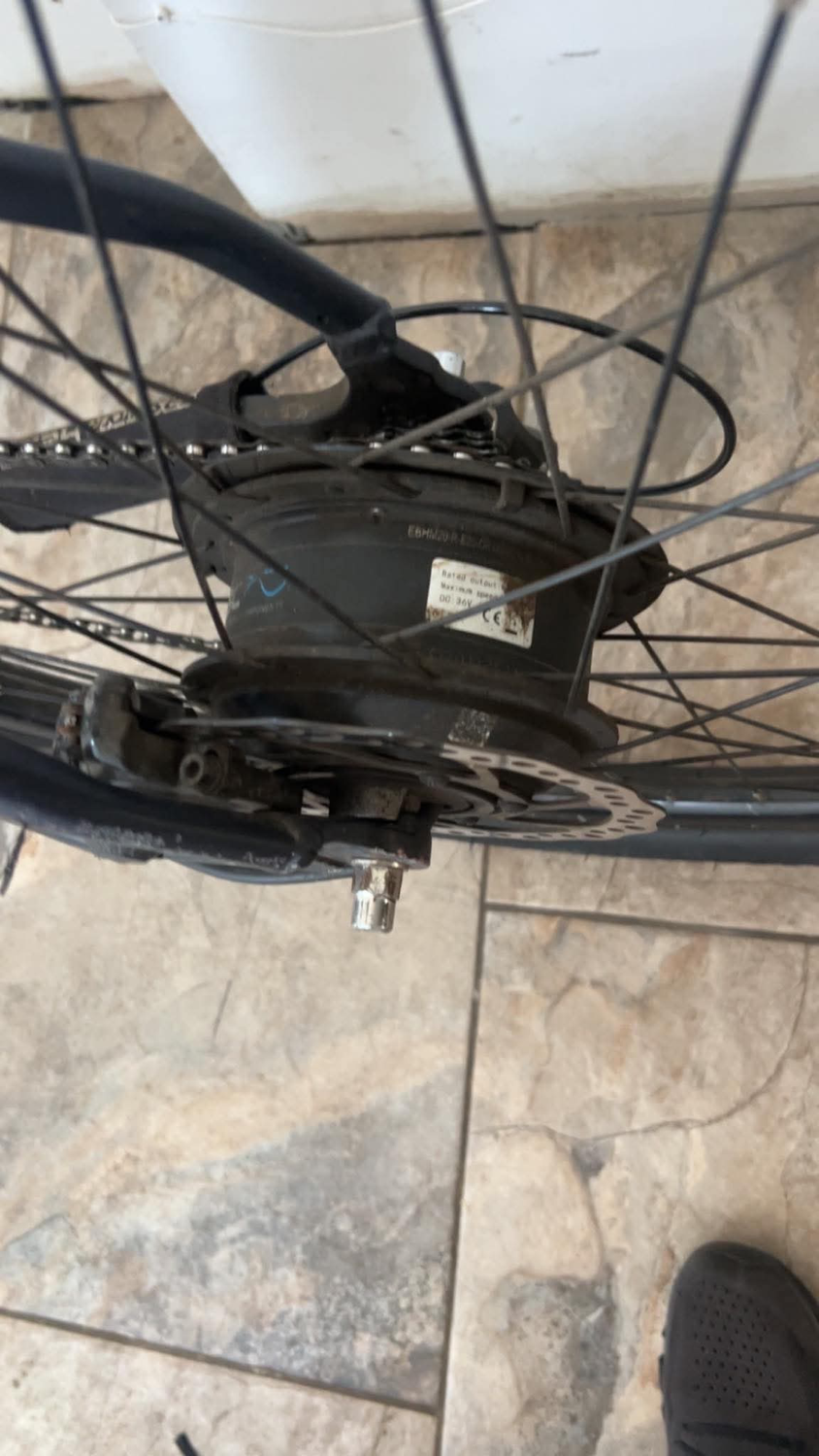 Carrera E spec 2019