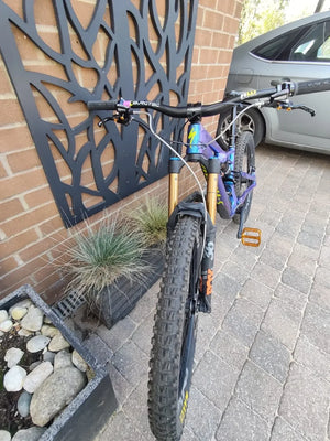 Specialized S-works Enduro Custom Build 2026