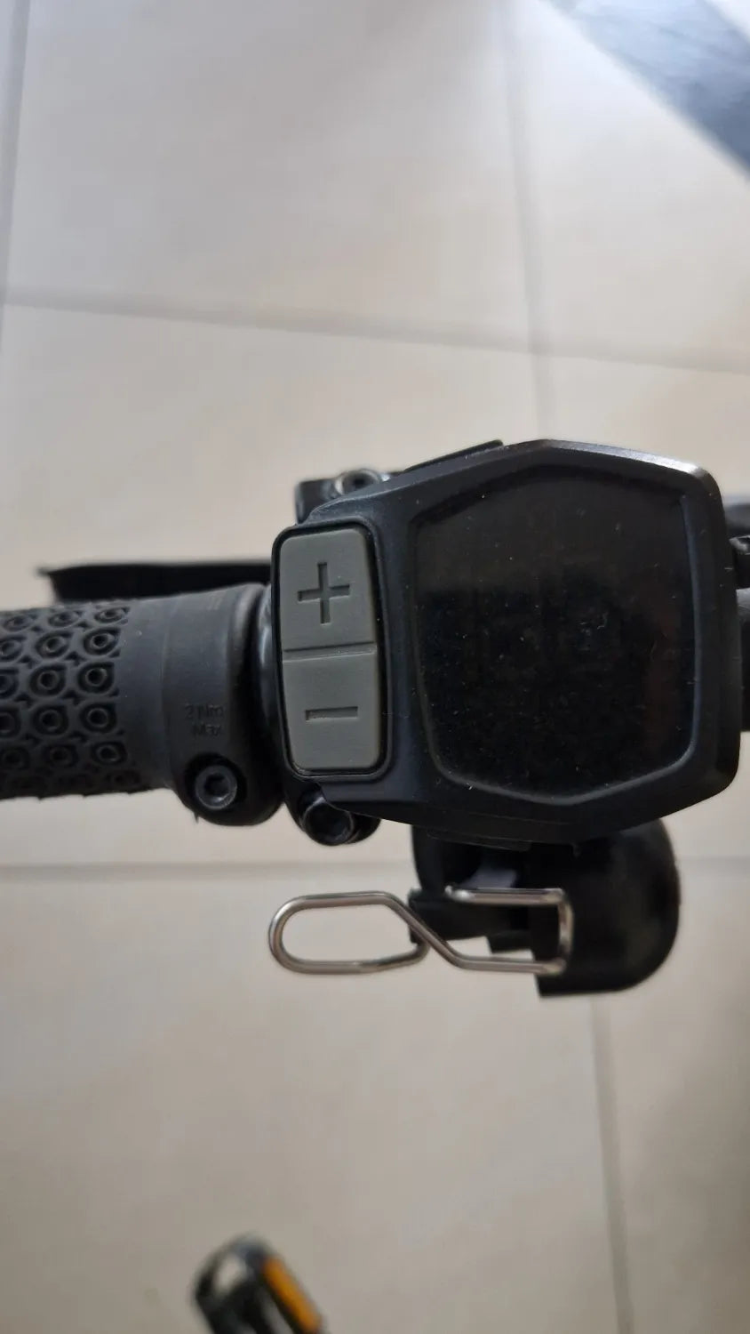 Ridgeback Arcus 1 2024