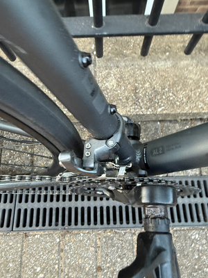 Trek Domane AL 2 Gen 4 Road 2026