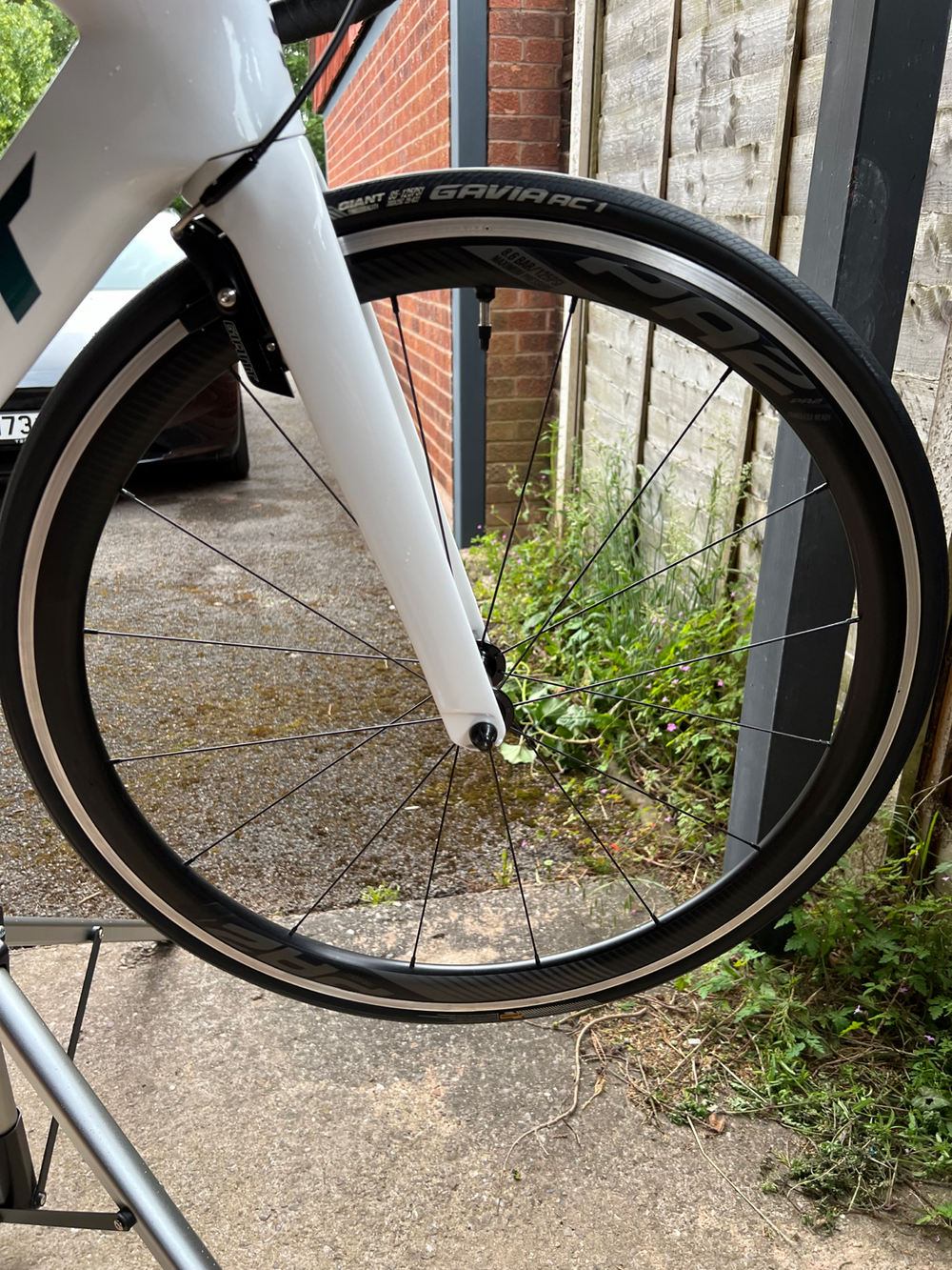 Giant Propel Advanced 1 2020