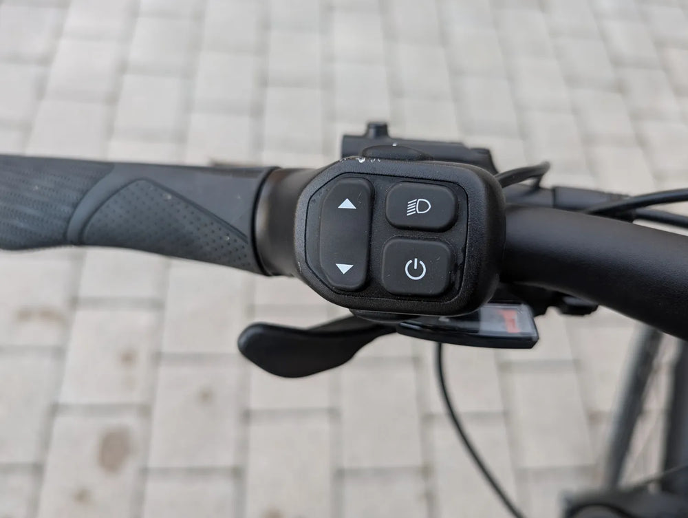 Liv Amiti E+ 2 Electric Bike 2020