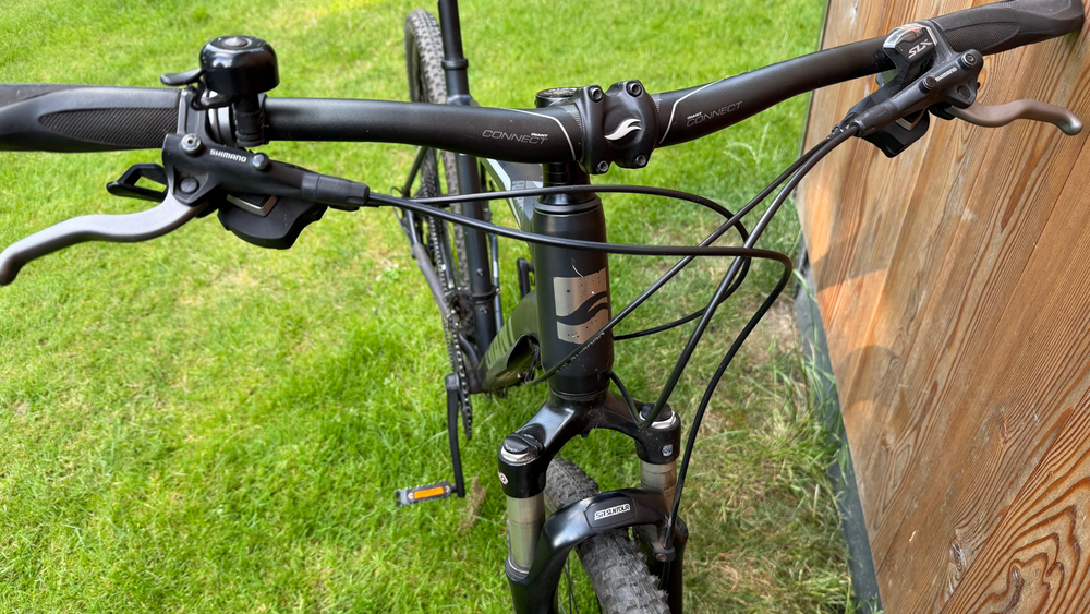Giant Roam 0 Disc 2019