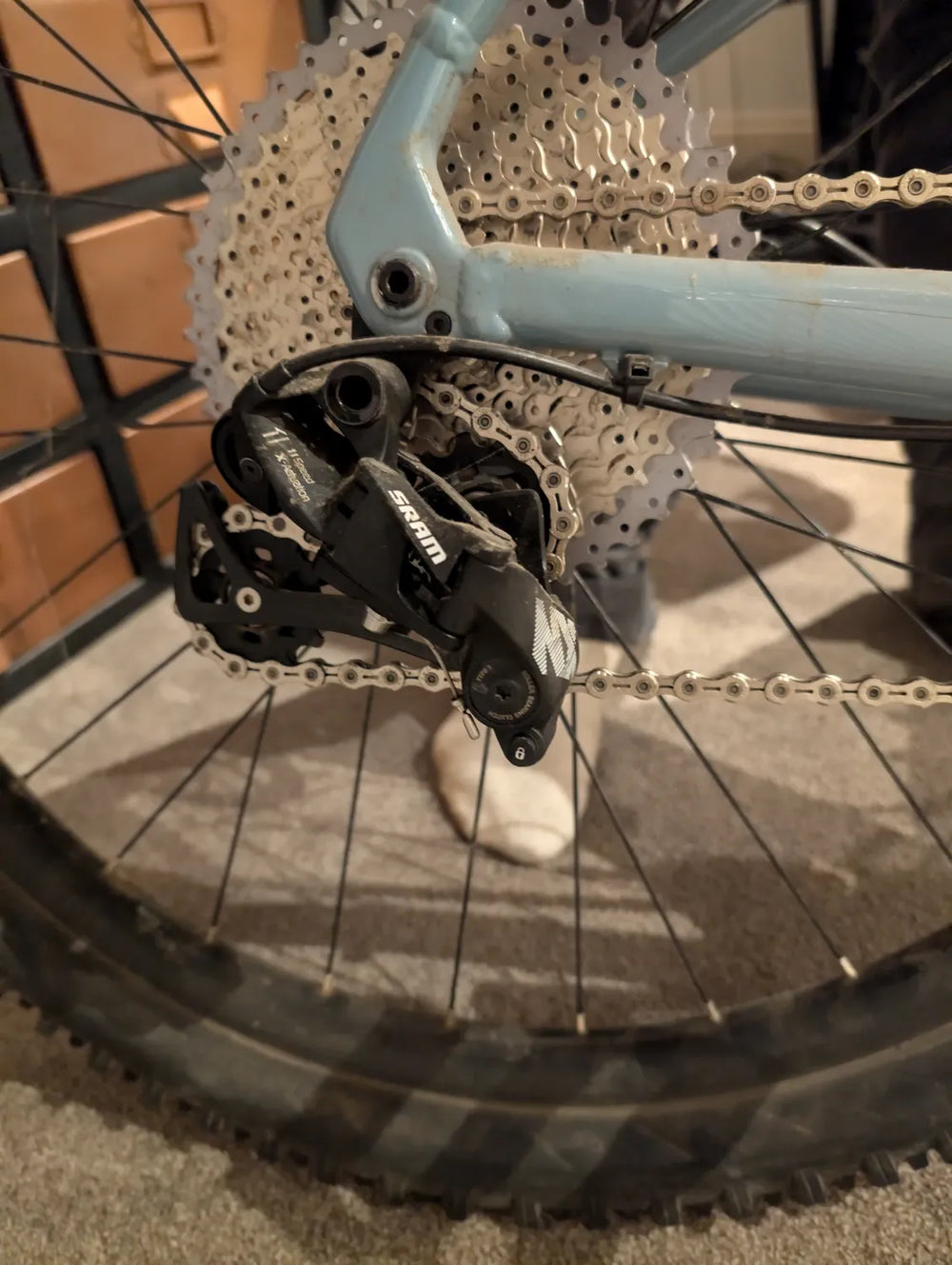 Marin San Quentin 2 2019