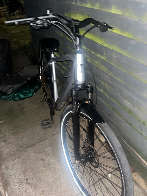 Falcon Horizon Cross Bar 2024