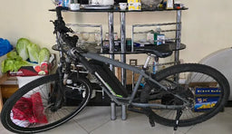 Ridgeback Arcus 1 2024