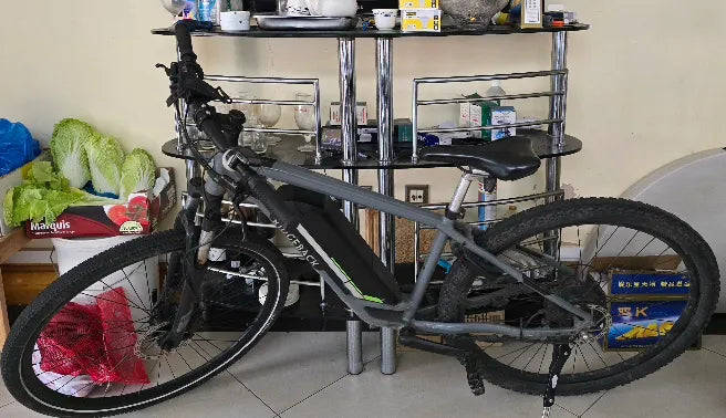 Ridgeback Arcus 1 2024