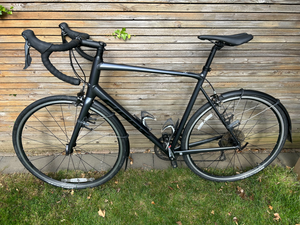 Giant Contend 2 2023