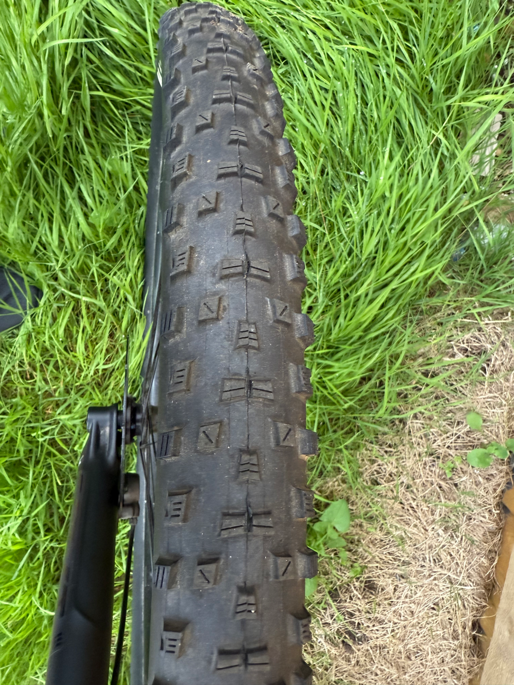 Giant Stance 29 2 2022