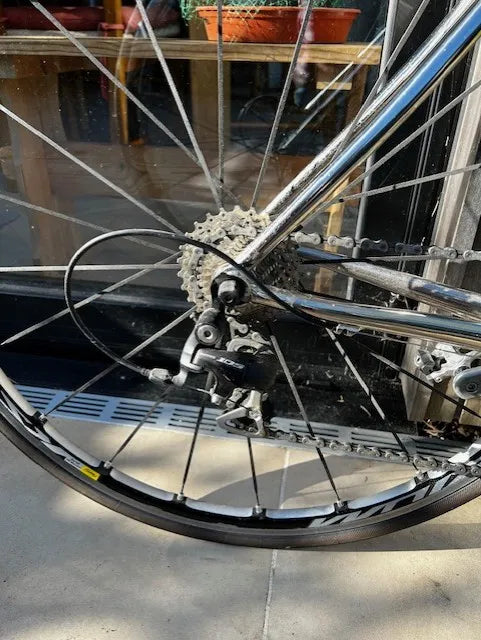 Enigma Echo 2013