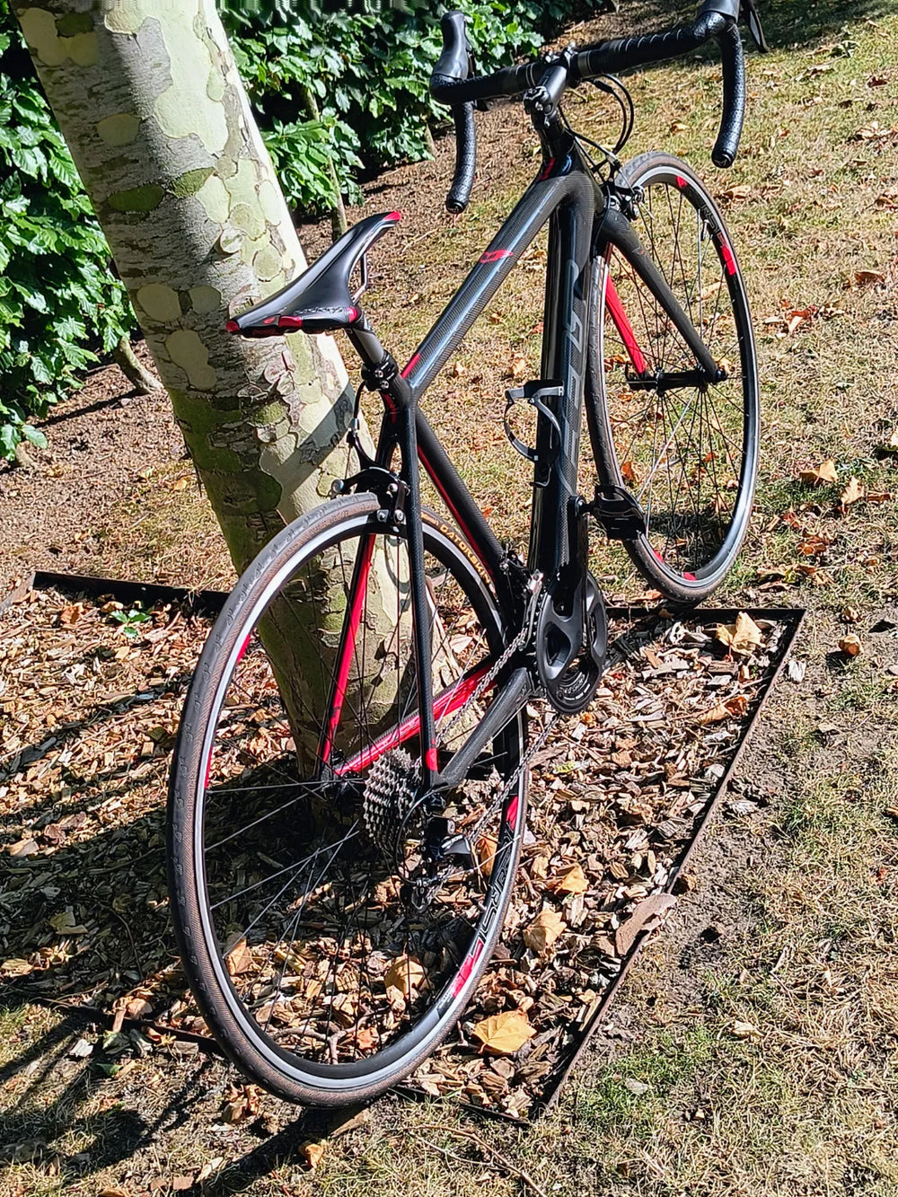 Felt F5X 2018