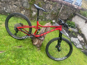 Vitus Mythique 29 VRS 2019
