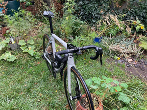 Basso Diamante 2021