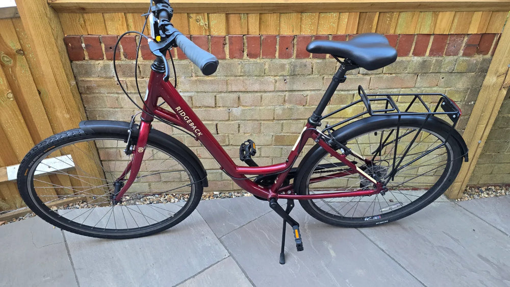 Ridgeback Avenida 6 2025