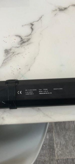 Raymon R HardRay E 4.0 Electric 2025