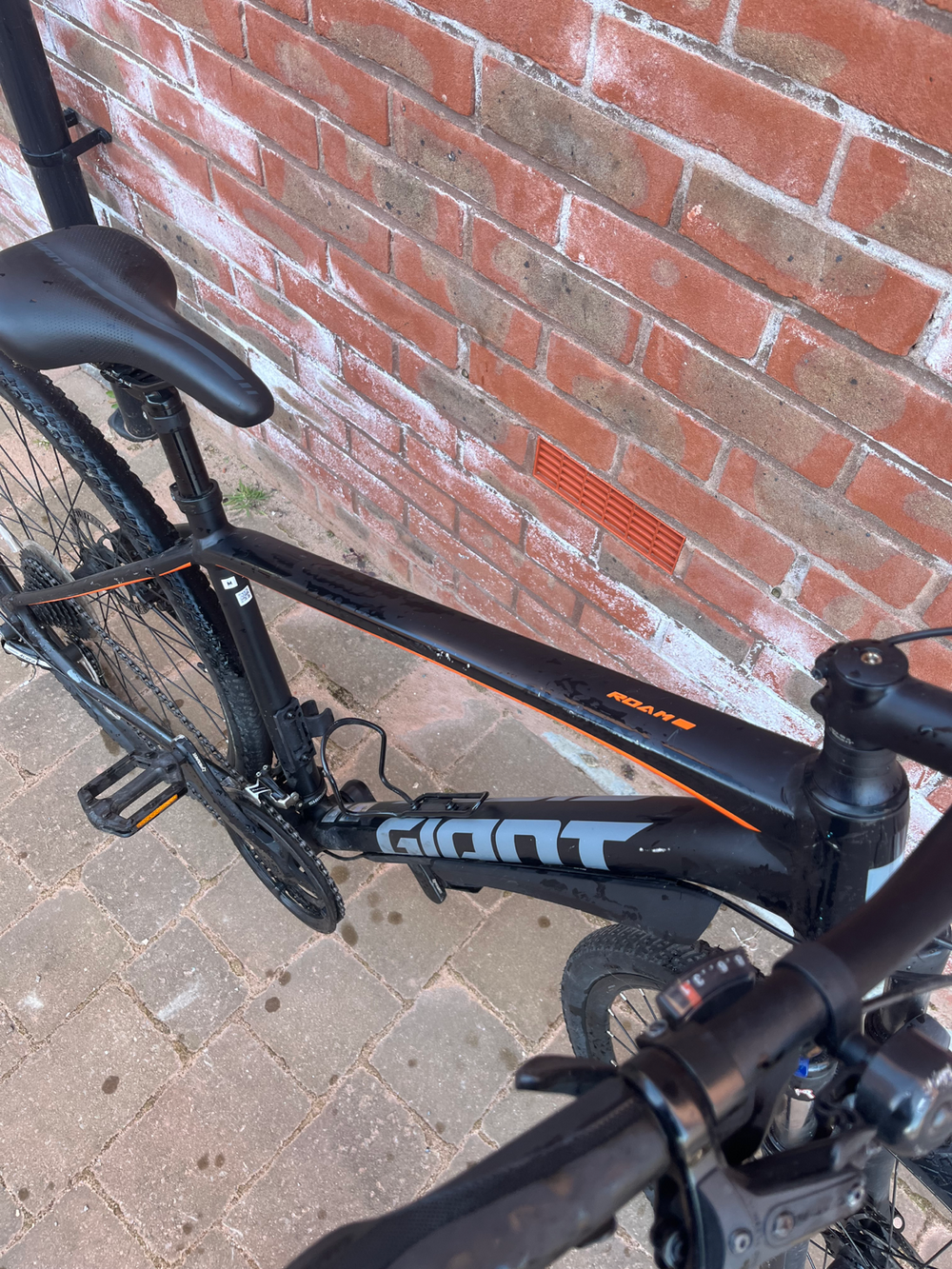 Giant Roam 3 Disc 2020