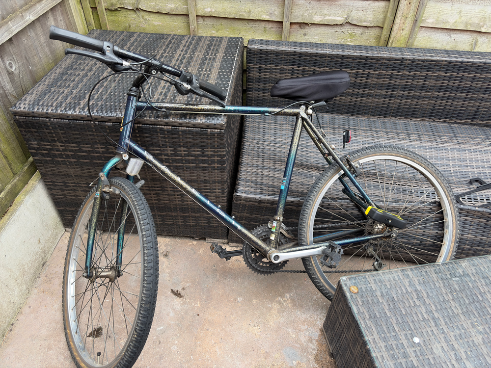 Raleigh Alysa 1 (2018) 2018