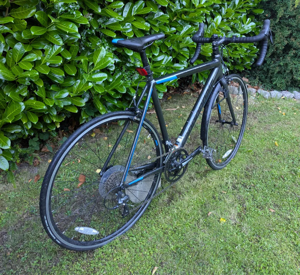 Cannondale CAAD Optimo Claris 2019
