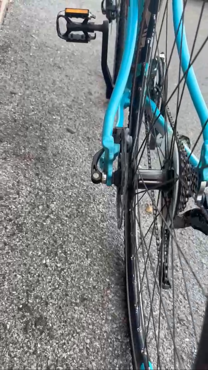 Boardman Road Pro Carbon 2015