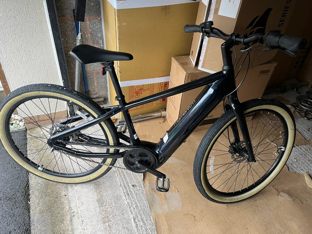 Momentum Transend E+ 2022