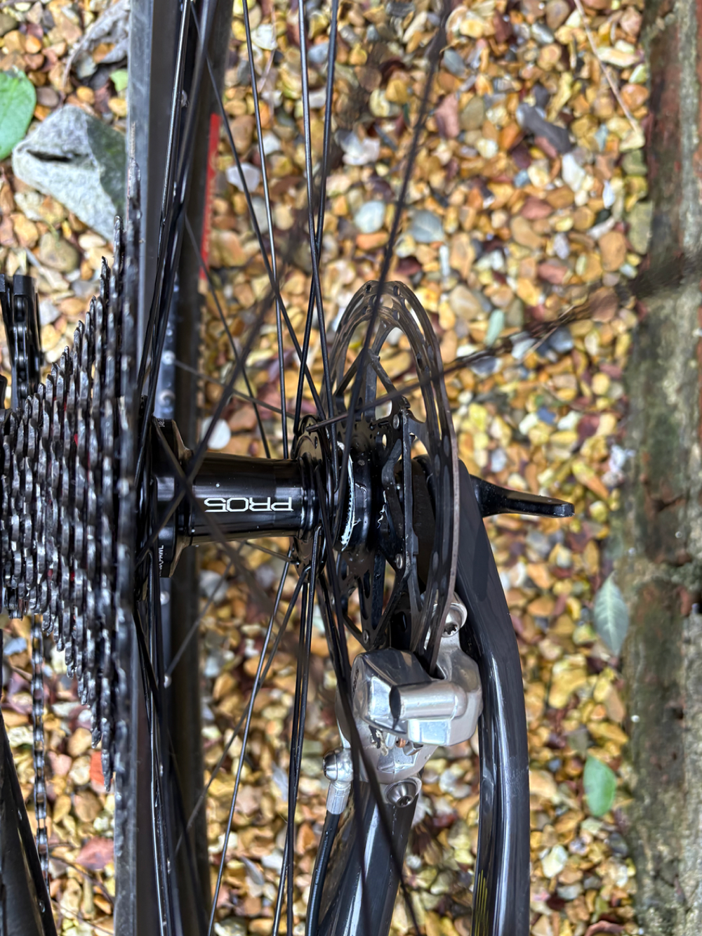 Scott Spark RC Team Issue TR 2024