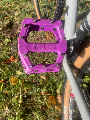 Vitus Nucleus 29 2024