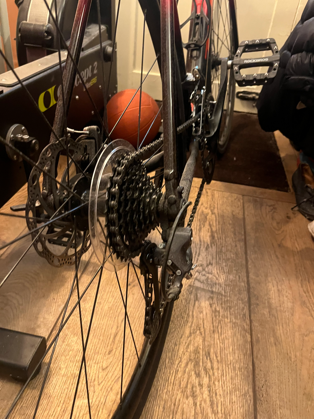 Trek Domane AL 2 Gen 4 2024