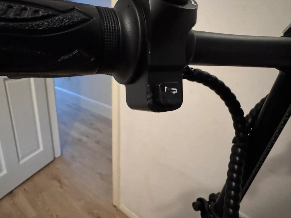 DYU A1F 2024