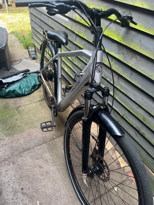 Falcon Horizon Cross Bar 2024