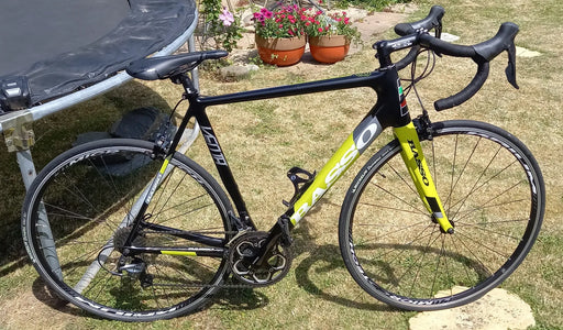 Basso Venta  2019