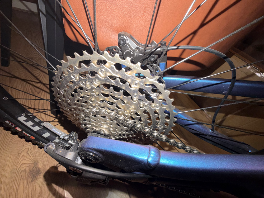 Voodoo Canzo Pro 2025