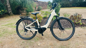Raleigh Motus Grand Tour Step Through 2023