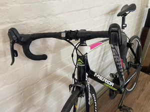 merida scultura lampre