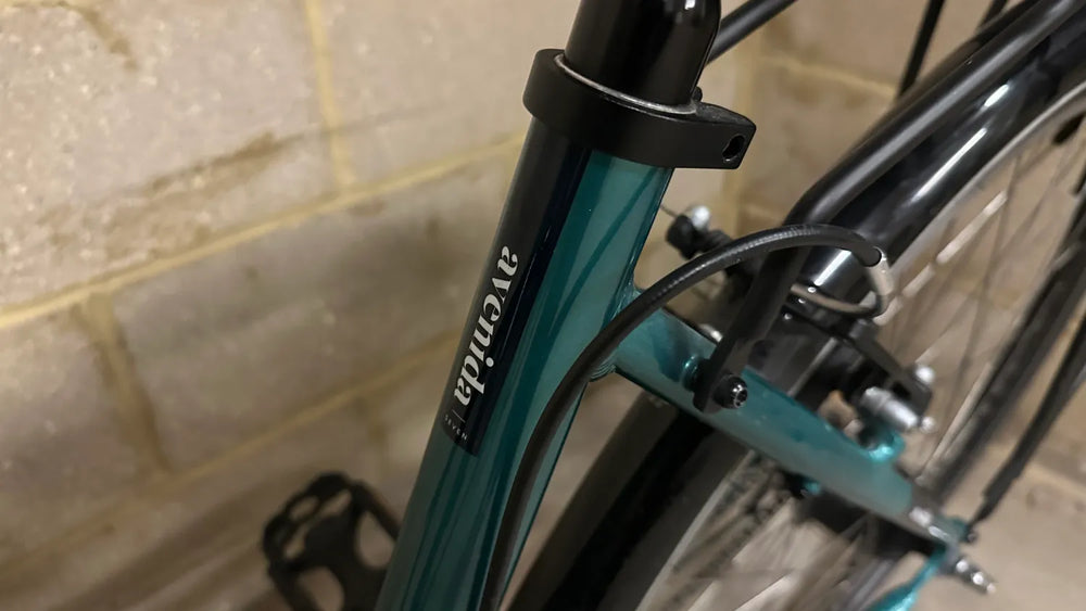 Ridgeback Avenida 7 2024